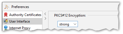 screenshot of p12 encryption setting